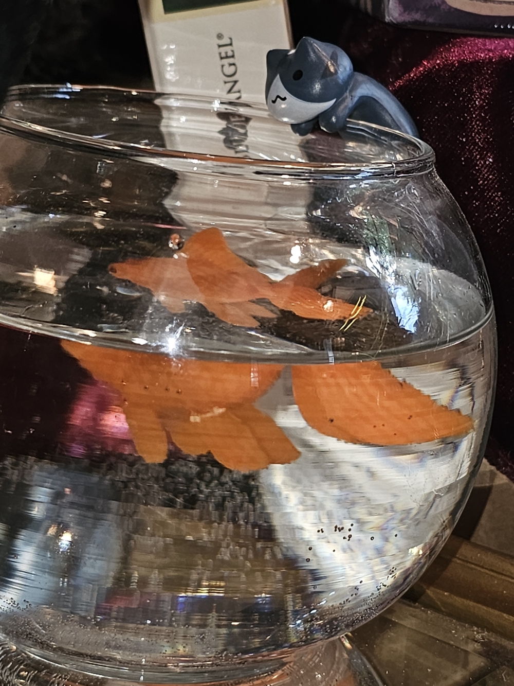 Just Add Water Goldfish With Fish Bowl - Pets For The Busy - Picture 2 of 2